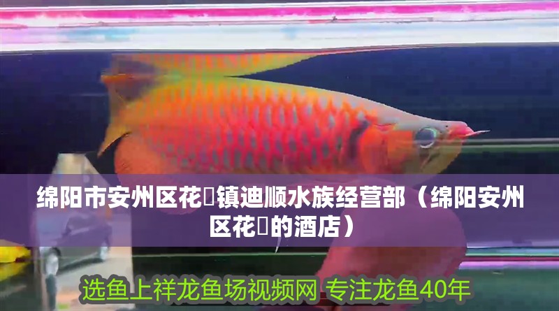 綿陽市安州區花荄鎮迪順水族經營部（綿陽安州區花荄的酒店）