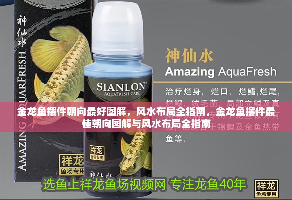 金龍魚擺件朝向最好圖解，風水布局全指南，金龍魚擺件最佳朝向圖解與風水布局全指南