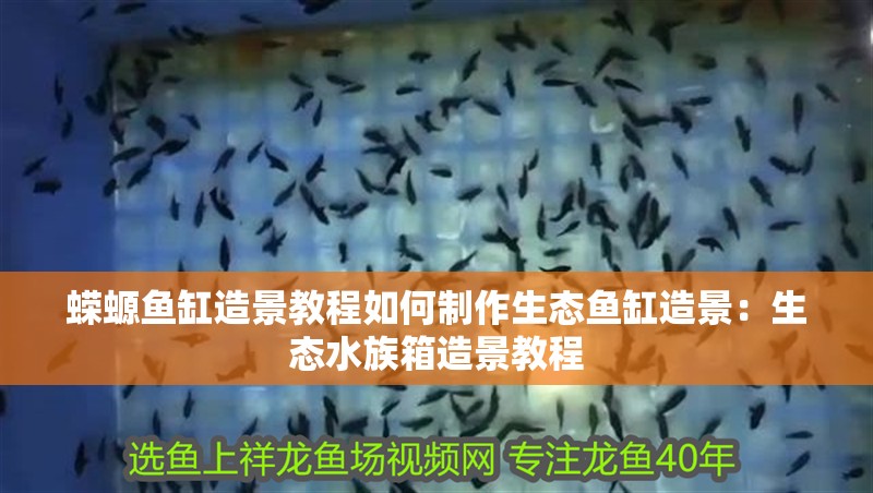 蠑螈魚缸造景教程如何制作生態魚缸造景：生態水族箱造景教程 蠑螈魚缸造景教程如何制作生態魚缸造景：生態水族箱造景教程 魚缸百科