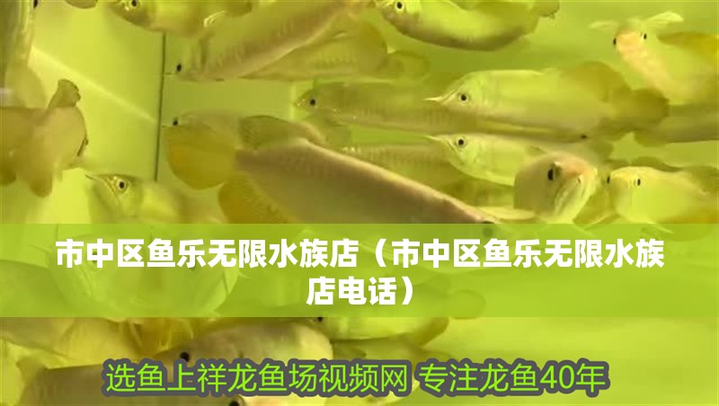市中區魚樂無限水族店(市中區魚樂無限水族店電話) 全國水族館企業名錄 第2張 市中區魚樂無限水族店(市中區魚樂無限水族店電話) 市中區魚樂無限水族店(市中區魚樂無限水族店電話) 全國水族館企業名錄 第2張
