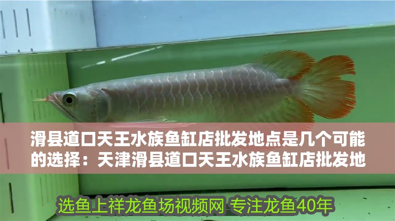 滑縣道口天王水族魚(yú)缸店批發(fā)地點(diǎn)是幾個(gè)可能的選擇：天津滑縣道口天王水族魚(yú)缸店批發(fā)地點(diǎn)是幾個(gè)可能的選擇
