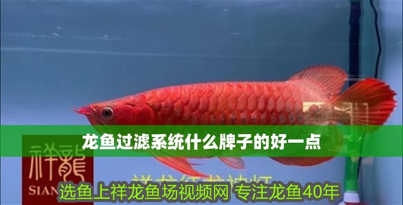 龍魚過濾系統什么牌子的好一點