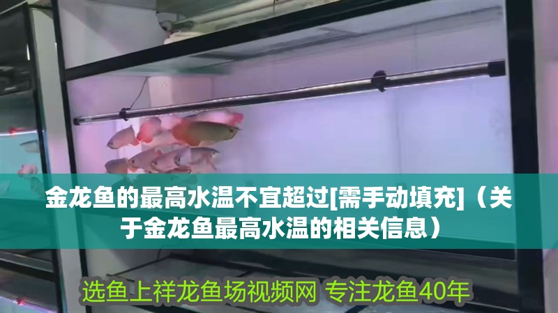 金龍魚的最高水溫不宜超過[需手動填充]（關于金龍魚最高水溫的相關信息）
