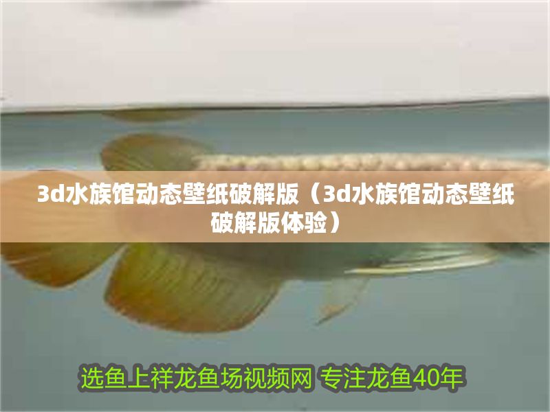 3d水族館動態壁紙破解版（3d水族館動態壁紙破解版體驗）