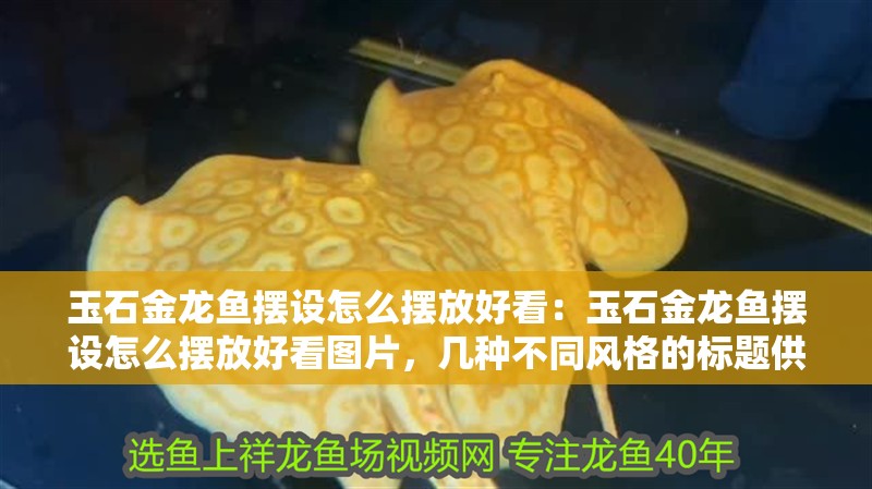 玉石金龍魚擺設怎么擺放好看：玉石金龍魚擺設怎么擺放好看圖片，幾種不同風格的標題供你參考，你可以根據實際需求進行選擇，，驚艷！玉石金龍魚擺設的絕美擺放攻略與實拍圖，必看！玉石金龍魚擺設超美觀的擺放方法及圖片展示，解鎖秘籍，玉石金龍魚擺設好看又吉祥的擺放之道