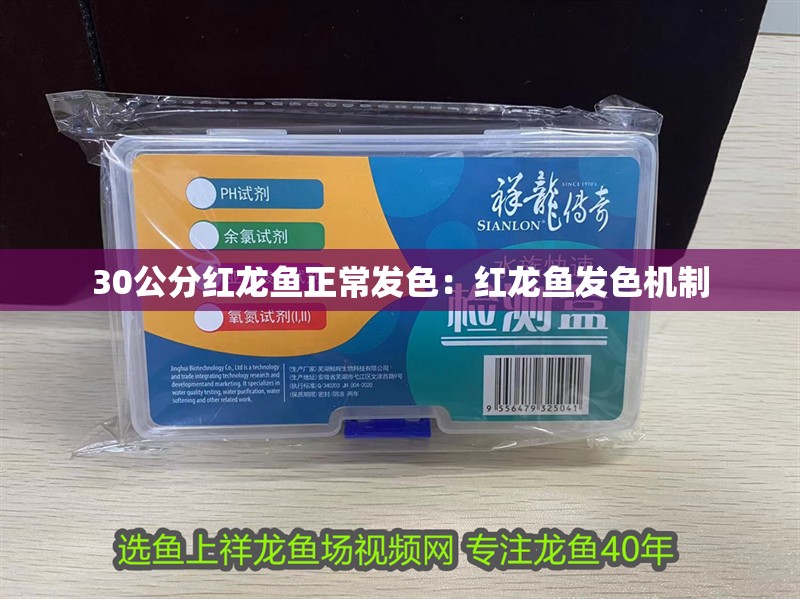 魚缸造景先放沙還是先放水(魚缸造景先鋪沙還是先放石頭) 30公分紅龍魚正常發色:紅龍魚發色機制 龍魚百科 30公分紅龍魚正常發色:紅龍魚發色機制 30公分紅龍魚正常發色:紅龍魚發色機制 龍魚百科