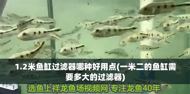 1.2米魚缸過濾器哪種好用點(一米二的魚缸需要多大的過濾器)