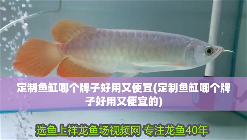 定制魚缸哪個牌子好用又便宜(定制魚缸哪個牌子好用又便宜的)