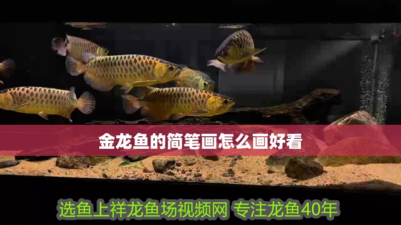 金龍魚的簡筆畫怎么畫好看