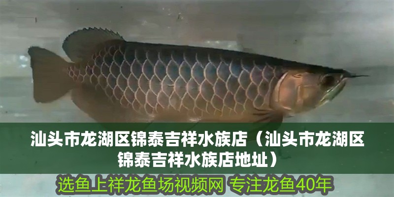 汕頭市龍湖區錦泰吉祥水族店（汕頭市龍湖區錦泰吉祥水族店地址）