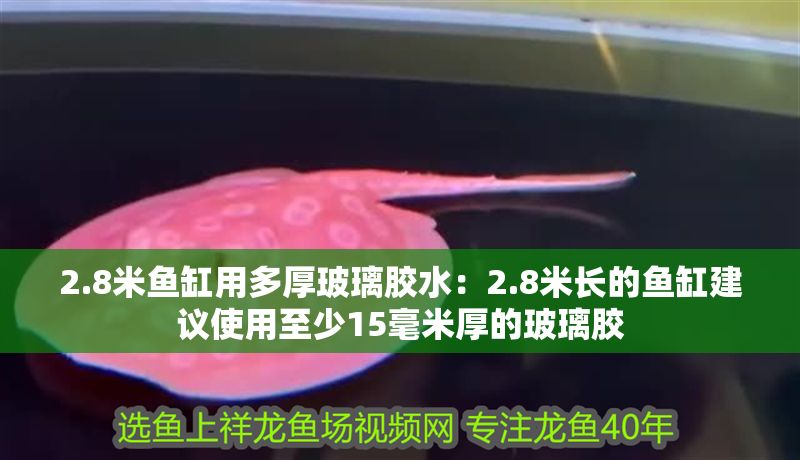 2.8米魚缸用多厚玻璃膠水：2.8米長的魚缸建議使用至少15毫米厚的玻璃膠