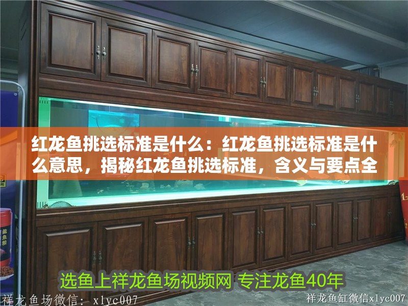 紅龍魚挑選標準是什么：紅龍魚挑選標準是什么意思，揭秘紅龍魚挑選標準，含義與要點全解析