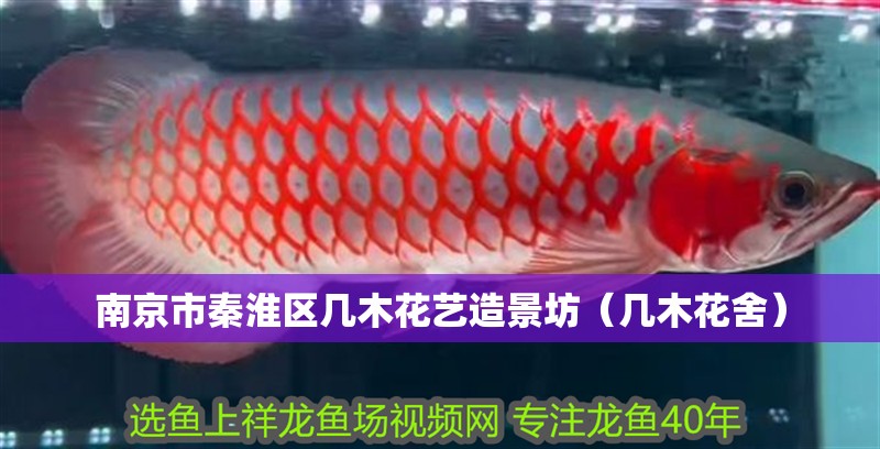 南京市秦淮區幾木花藝造景坊（幾木花舍）