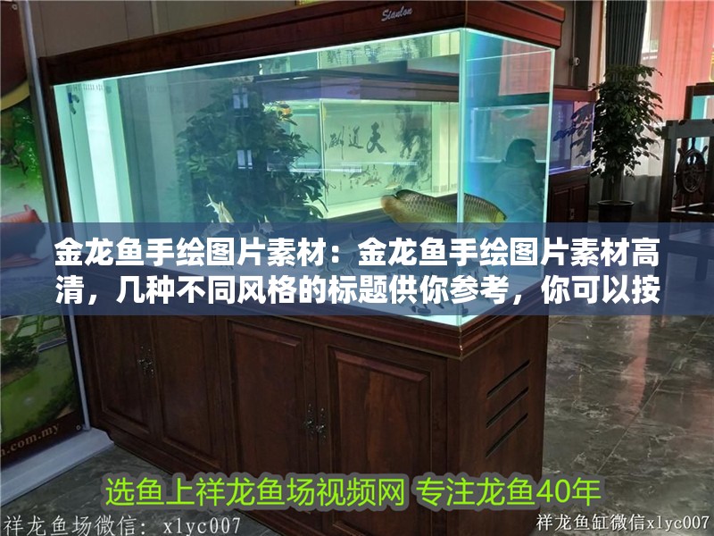 金龍魚手繪圖片素材：金龍魚手繪圖片素材高清，幾種不同風格的標題供你參考，你可以按需選擇，，文藝風，邂逅高清金龍魚手繪圖片素材，領略靈動之美，實用風，超清金龍魚手繪圖片素材，一鍵獲取！，活潑風，哇塞！高清金龍魚手繪圖片素材來啦~