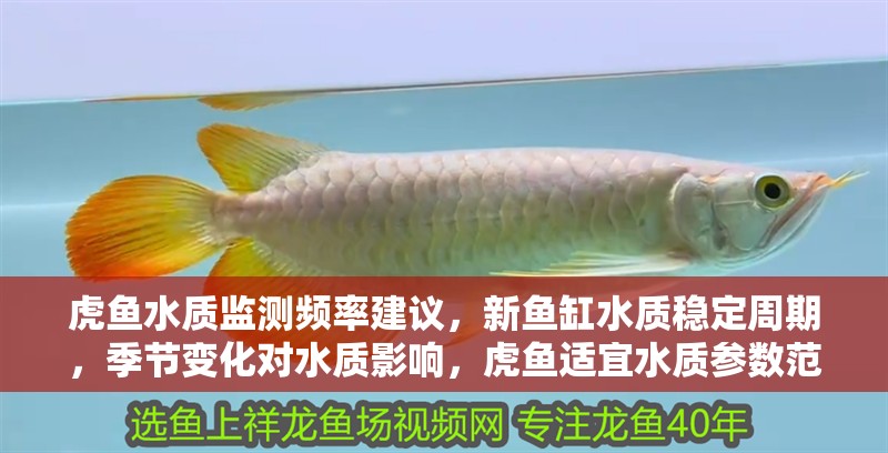 虎魚水質監測頻率建議，新魚缸水質穩定周期，季節變化對水質影響，虎魚適宜水質參數范圍