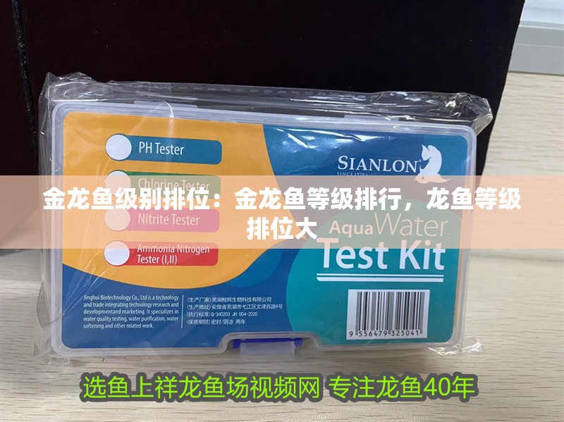 金龍魚級(jí)別排位：金龍魚等級(jí)排行，龍魚等級(jí)排位大 金龍魚級(jí)別排位：金龍魚等級(jí)排行，龍魚等級(jí)排位大 水族問(wèn)答