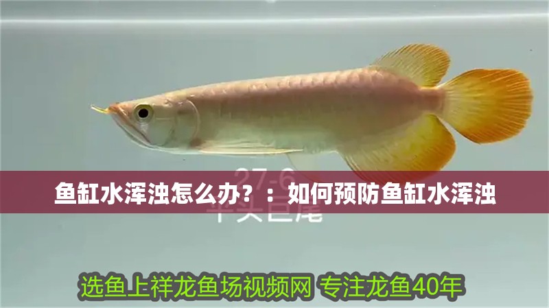 魚缸水渾濁怎么辦？：如何預防魚缸水渾濁 魚缸水渾濁怎么辦？：如何預防魚缸水渾濁 魚缸百科
