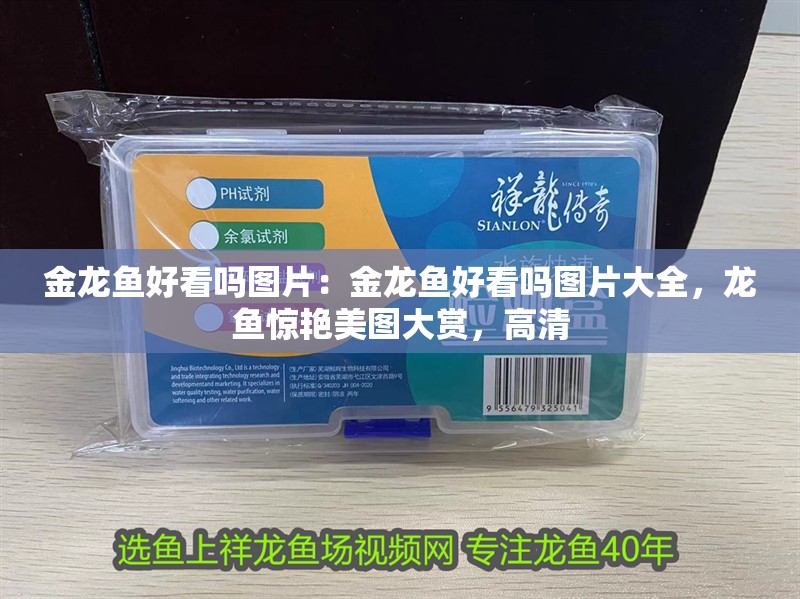 金龍魚好看嗎圖片:金龍魚好看嗎圖片大全,龍魚驚艷美圖大賞,高清 水族問答 金龍魚好看嗎圖片:金龍魚好看嗎圖片大全,龍魚驚艷美圖大賞,高清 金龍魚好看嗎圖片:金龍魚好看嗎圖片大全,龍魚驚艷美圖大賞,高清 水族問答