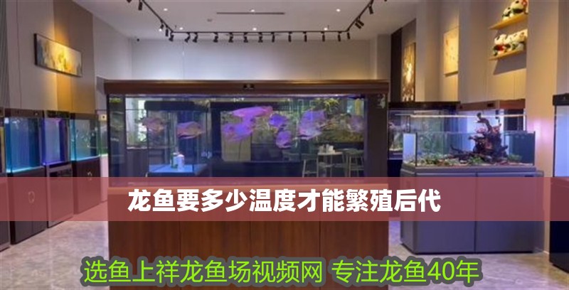 龍魚(yú)要多少溫度才能繁殖后代 龍魚(yú)百科 龍魚(yú)要多少溫度才能繁殖后代 龍魚(yú)要多少溫度才能繁殖后代 龍魚(yú)百科