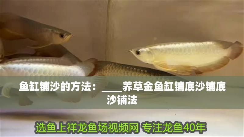 魚缸鋪沙的方法：____養(yǎng)草金魚缸鋪底沙鋪底沙鋪法
