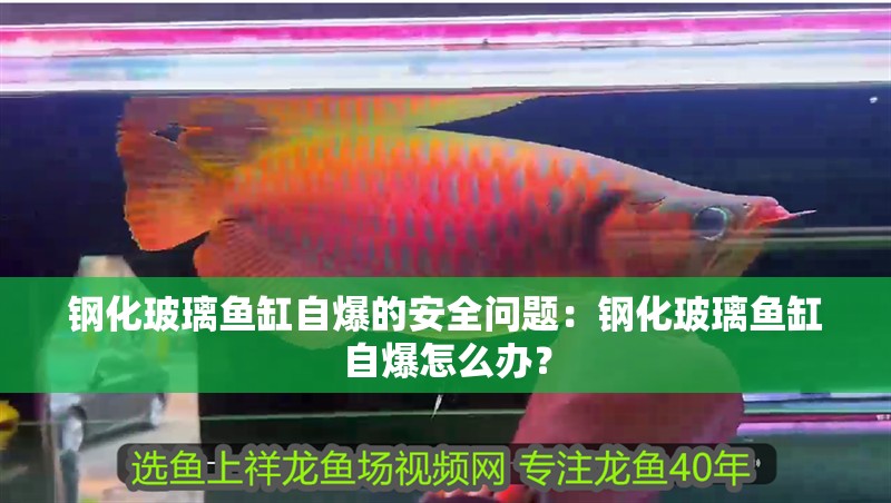 鋼化玻璃魚缸自爆的安全問題：鋼化玻璃魚缸自爆怎么辦？ 鋼化玻璃魚缸自爆的安全問題：鋼化玻璃魚缸自爆怎么辦？ 魚缸百科