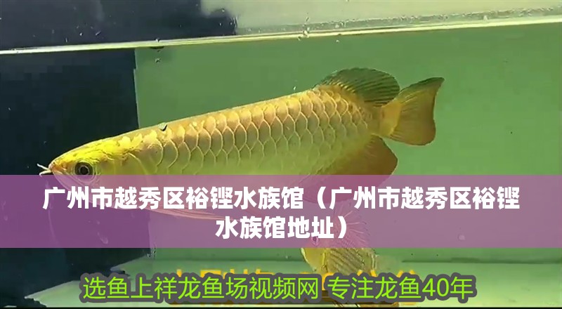 廣州市越秀區(qū)裕鏗水族館（廣州市越秀區(qū)裕鏗水族館地址）