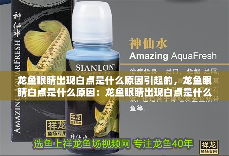 龍魚眼睛出現白點是什么原因引起的，龍魚眼睛白點是什么原因：龍魚眼睛出現白點是什么原因