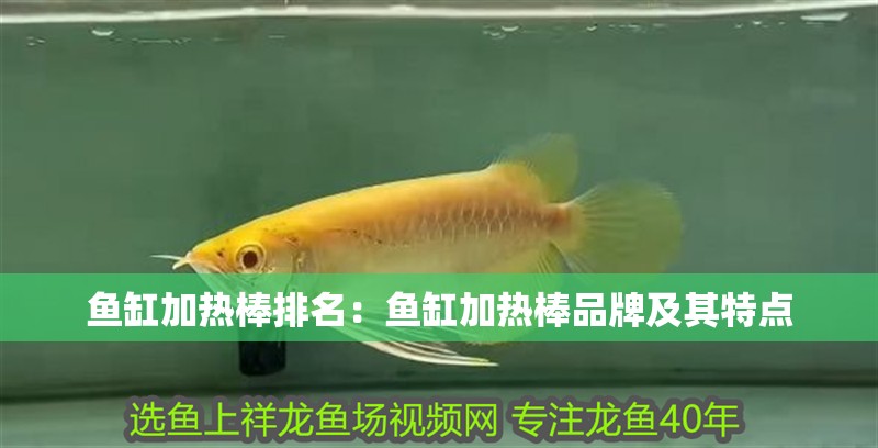 魚(yú)缸加熱棒排名：魚(yú)缸加熱棒品牌及其特點(diǎn)