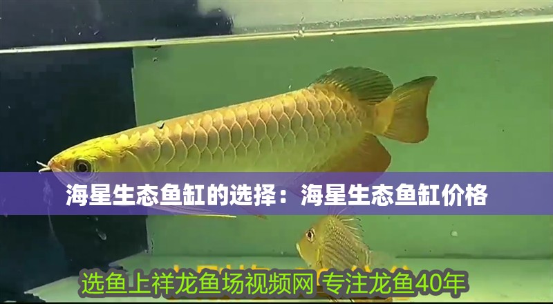 海星生態(tài)魚缸的選擇：海星生態(tài)魚缸價格