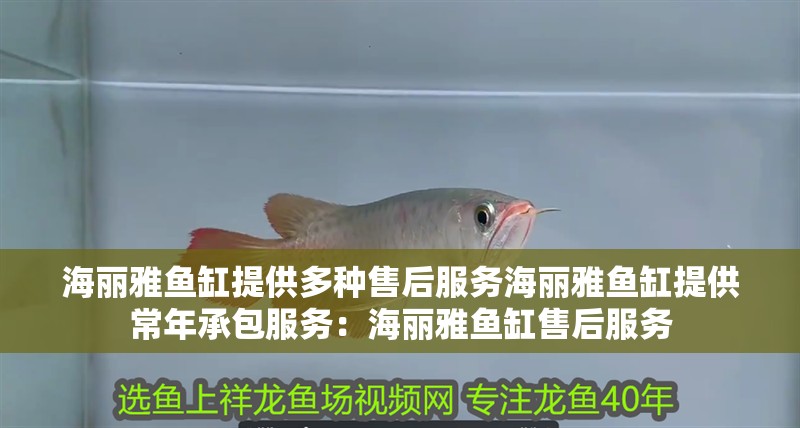 海麗雅魚缸提供多種售后服務海麗雅魚缸提供常年承包服務：海麗雅魚缸售后服務