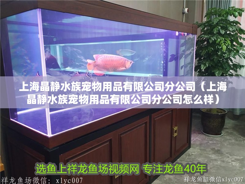 上海晶靜水族寵物用品有限公司分公司（上海晶靜水族寵物用品有限公司分公司怎么樣）