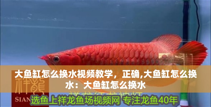 大魚缸怎么換水視頻教學，正確,大魚缸怎么換水：大魚缸怎么換水