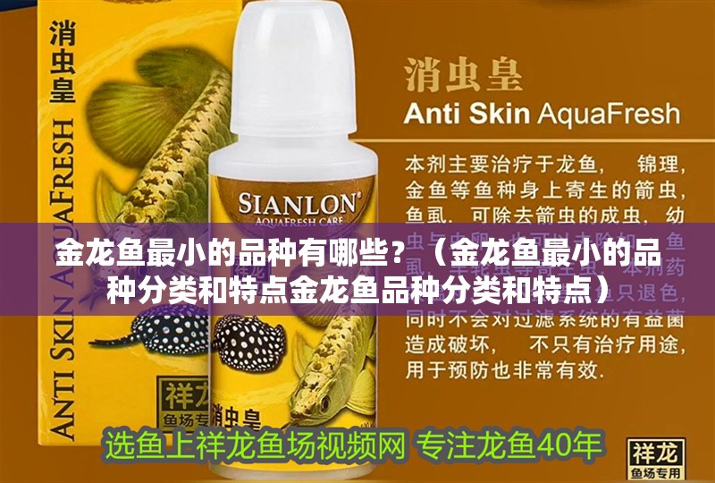 金龍魚最小的品種有哪些？（金龍魚最小的品種分類和特點金龍魚品種分類和特點）