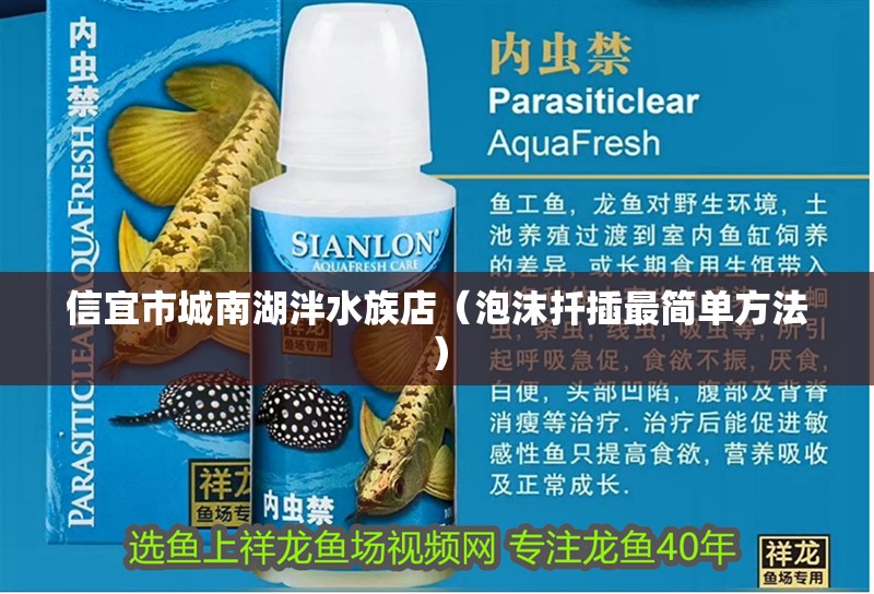 信宜市城南湖泮水族店（泡沫扦插最簡單方法） 信宜市城南湖泮水族店（泡沫扦插最簡單方法） 全國水族館企業名錄 第2張