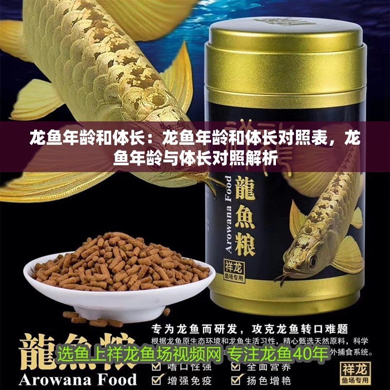 龍魚年齡和體長：龍魚年齡和體長對照表，龍魚年齡與體長對照解析