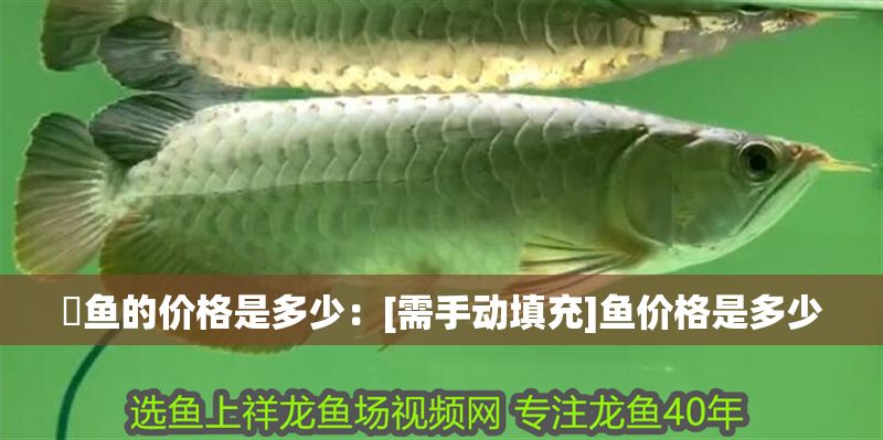 魟魚(yú)的價(jià)格是多少：[需手動(dòng)填充]魚(yú)價(jià)格是多少 魟魚(yú)的價(jià)格是多少：[需手動(dòng)填充]魚(yú)價(jià)格是多少 魟魚(yú)百科 第2張