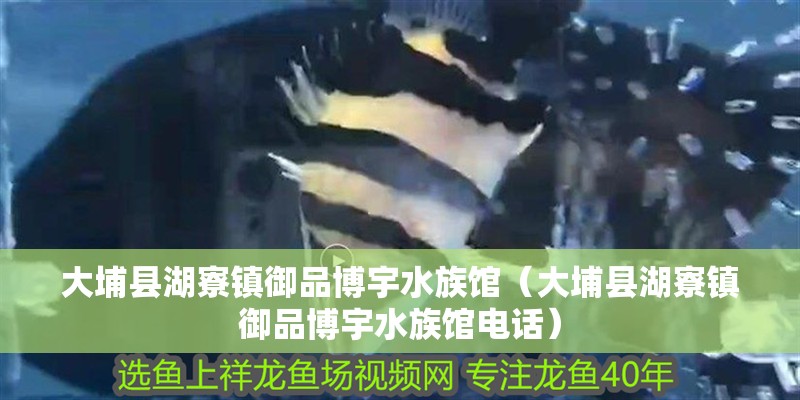 大埔縣湖寮鎮御品博宇水族館（大埔縣湖寮鎮御品博宇水族館電話）