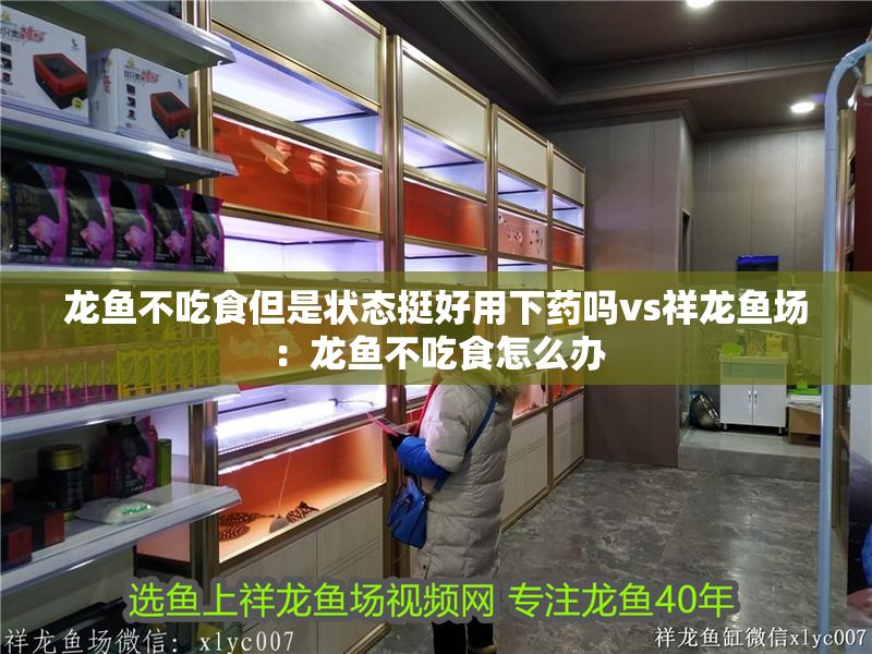 龍魚不吃食但是狀態挺好用下藥嗎vs祥龍魚場：龍魚不吃食怎么辦