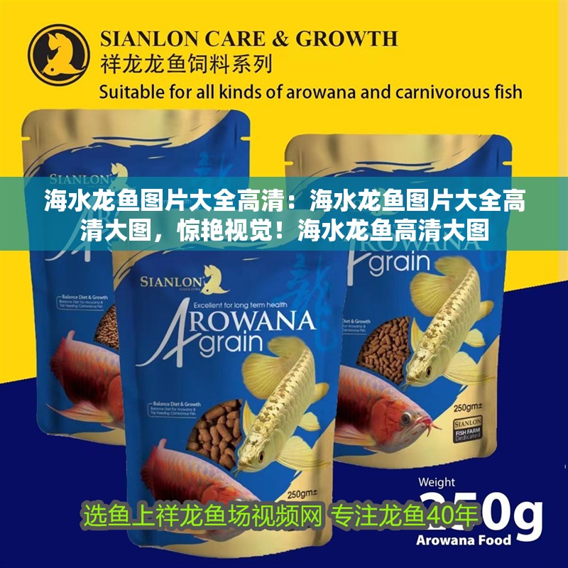 海水龍魚圖片大全高清：海水龍魚圖片大全高清大圖，驚艷視覺！海水龍魚高清大圖