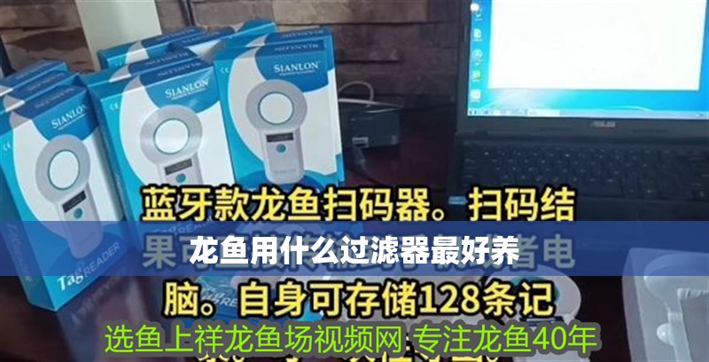 龍魚用什么過濾器最好養