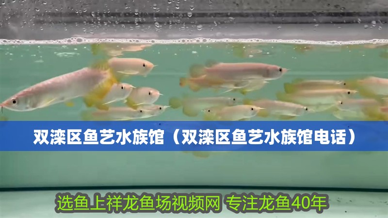 雙灤區(qū)魚藝水族館（雙灤區(qū)魚藝水族館電話）