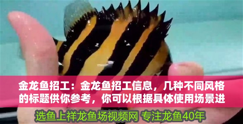 金龍魚招工：金龍魚招工信息，幾種不同風格的標題供你參考，你可以根據具體使用場景進行選擇，，直白型，金龍魚火熱招工，速來關注！，吸引眼球型，驚爆！金龍魚開啟大規模招工行動，實用導向型，金龍魚最新招工資訊全