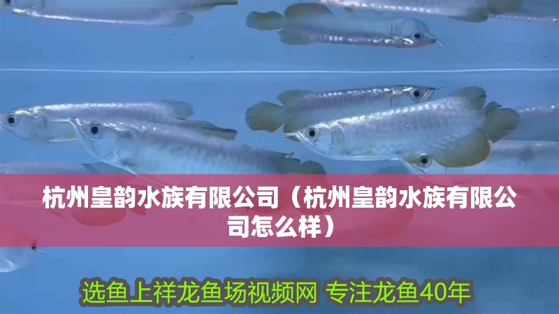 杭州皇韻水族有限公司（杭州皇韻水族有限公司怎么樣）