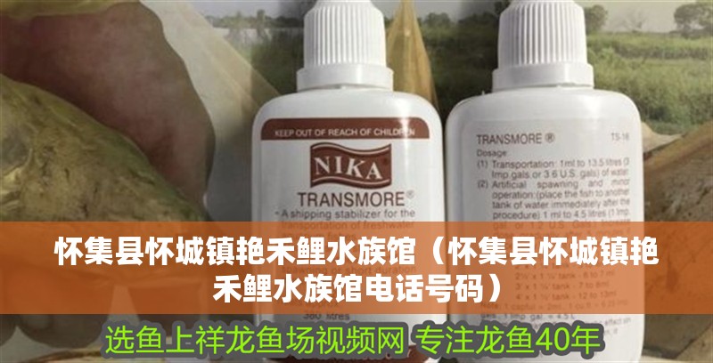 懷集縣懷城鎮(zhèn)艷禾鯉水族館（懷集縣懷城鎮(zhèn)艷禾鯉水族館電話號(hào)碼）