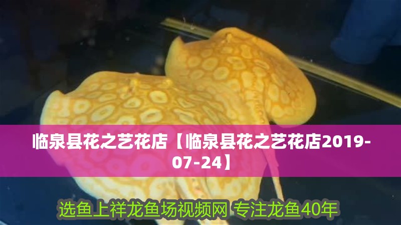 臨泉縣花之藝花店【臨泉縣花之藝花店2019-07-24】 臨泉縣花之藝花店【臨泉縣花之藝花店2019-07-24】 全國水族館企業(yè)名錄