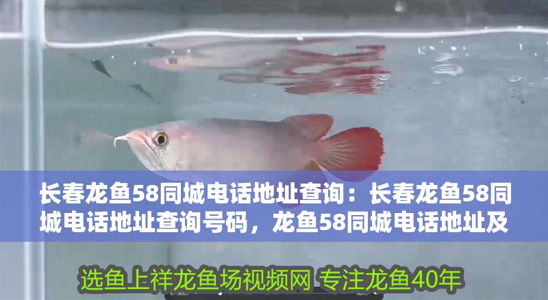 長春龍魚58同城電話地址查詢：長春龍魚58同城電話地址查詢號碼，龍魚58同城電話地址及查詢