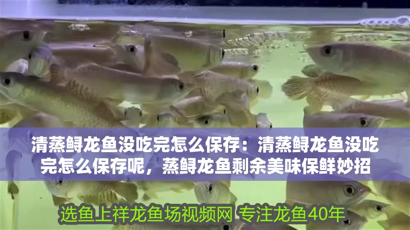 清蒸鱘龍魚沒吃完怎么保存:清蒸鱘龍魚沒吃完怎么保存呢,蒸鱘龍魚剩余美味保鮮妙招 水族問答 清蒸鱘龍魚沒吃完怎么保存:清蒸鱘龍魚沒吃完怎么保存呢,蒸鱘龍魚剩余美味保鮮妙招 清蒸鱘龍魚沒吃完怎么保存:清蒸鱘龍魚沒吃完怎么保存呢,蒸鱘龍魚剩余美味保鮮妙招 水族問答