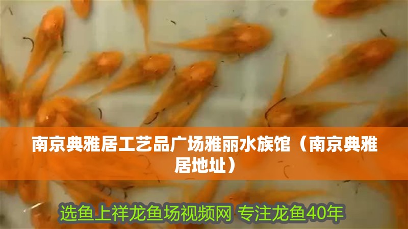 南京典雅居工藝品廣場雅麗水族館（南京典雅居地址）