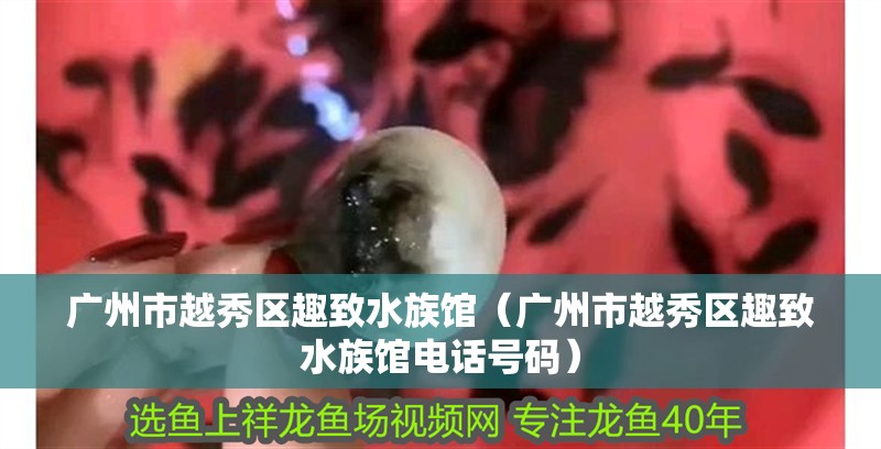 廣州市越秀區趣致水族館（廣州市越秀區趣致水族館電話號碼）