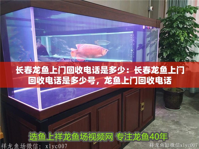 長春龍魚上門回收電話是多少：長春龍魚上門回收電話是多少號，龍魚上門回收電話